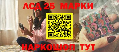 мдпв Бийск