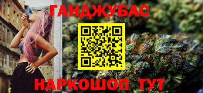 мдпв Бийск
