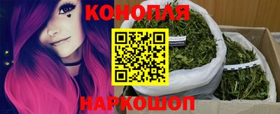 мдпв Бийск