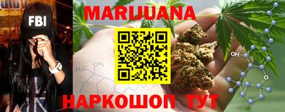 гашик Берёзовский