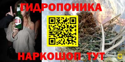 мдпв Бийск