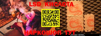 гашик Берёзовский