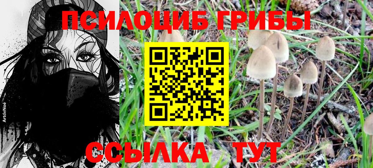 Галлюциногенные грибы GOLDEN TEACHER  Вход с VPN  Галлюциногенные грибы Cubensis  наркота  Елец 